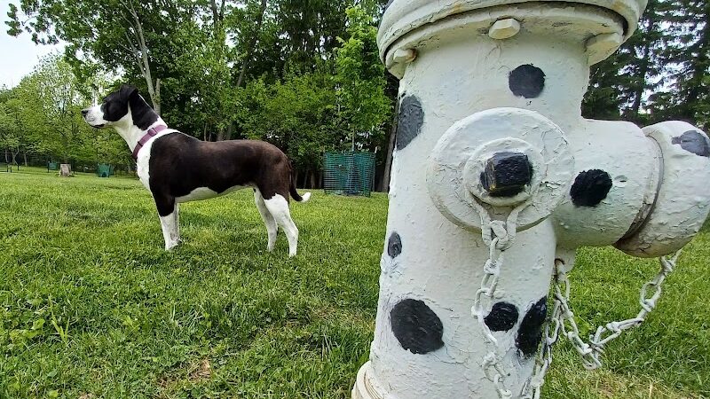 Central Bark Dog Park - Whitehall, OH