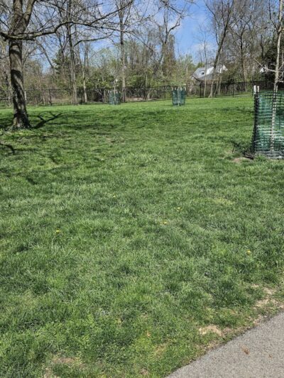 Central Bark Dog Park - Whitehall, OH