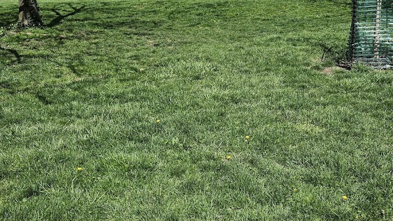 Central Bark Dog Park - Whitehall, OH