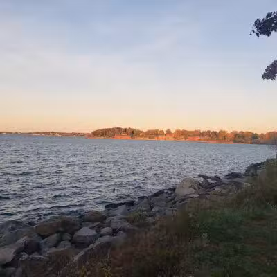 Little Bay Dog Run - Whitestone, NY