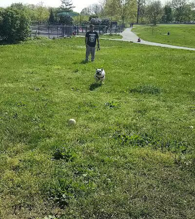 Little Bay Dog Run - Whitestone, NY