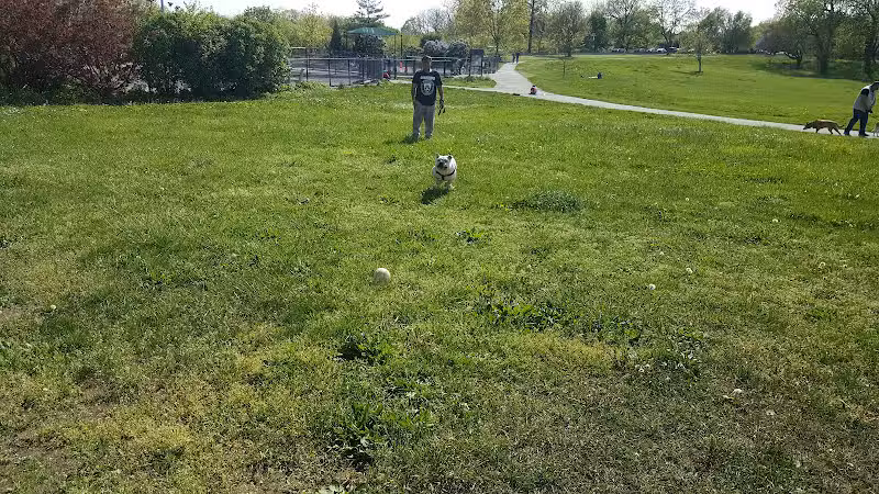 Little Bay Dog Run - Whitestone, NY