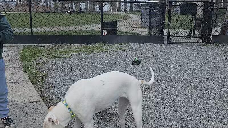 Little Bay Dog Run - Whitestone, NY