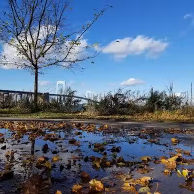 Little Bay Dog Run - Whitestone, NY