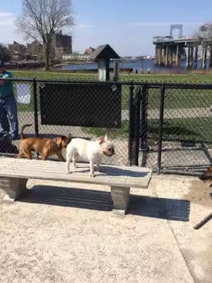 Little Bay Dog Run - Whitestone, NY