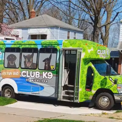 Club K9 of Wickliffe - Wickliffe, OH