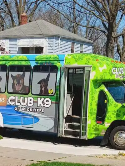 Club K9 of Wickliffe - Wickliffe, OH