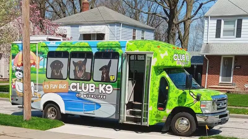 Club K9 of Wickliffe - Wickliffe, OH