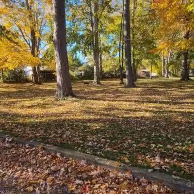 Featherston Park - Wickliffe, OH