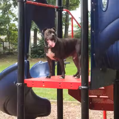 Featherston Park - Wickliffe, OH