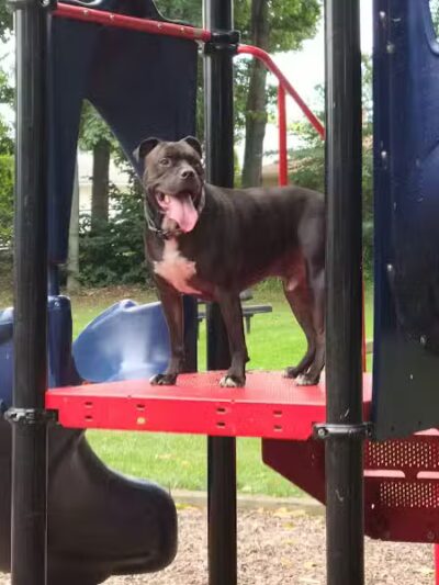 Featherston Park - Wickliffe, OH