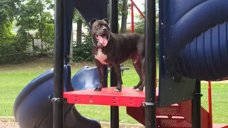 Featherston Park - Wickliffe, OH