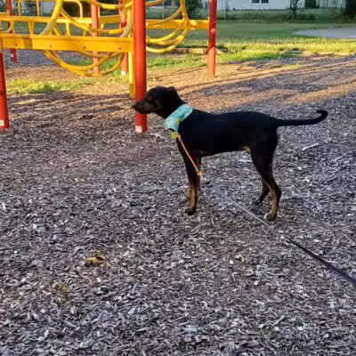 Featherston Park - Wickliffe, OH
