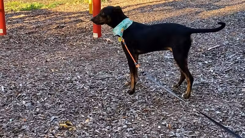 Featherston Park - Wickliffe, OH