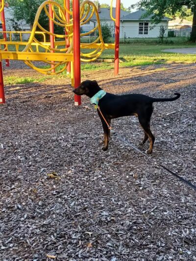 Featherston Park - Wickliffe, OH