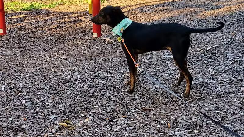 Featherston Park - Wickliffe, OH