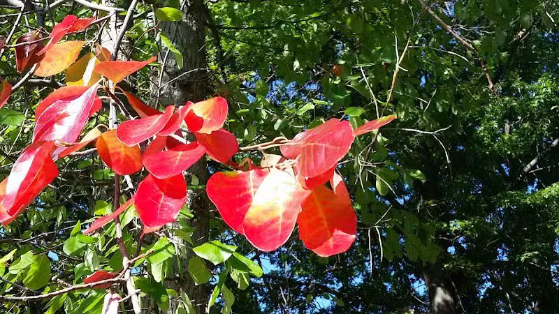Jindra Park - Wickliffe, OH