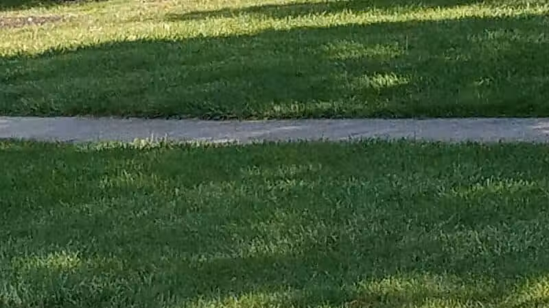 Jindra Park - Wickliffe, OH