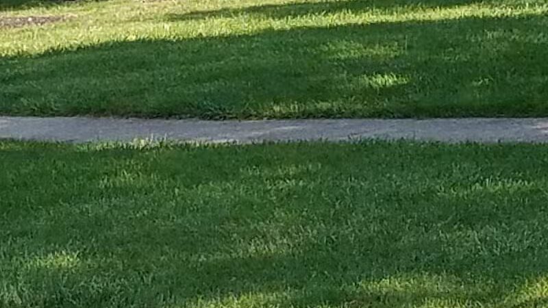 Jindra Park - Wickliffe, OH