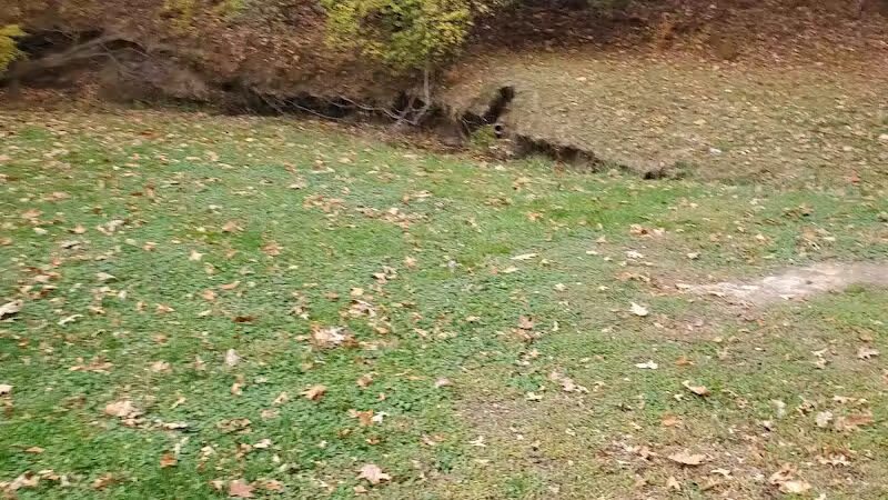 Nehls Park - Wickliffe, OH
