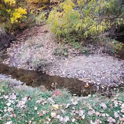 Nehls Park - Wickliffe, OH