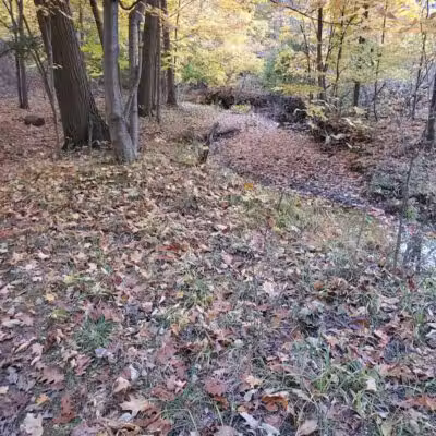 Nehls Park - Wickliffe, OH