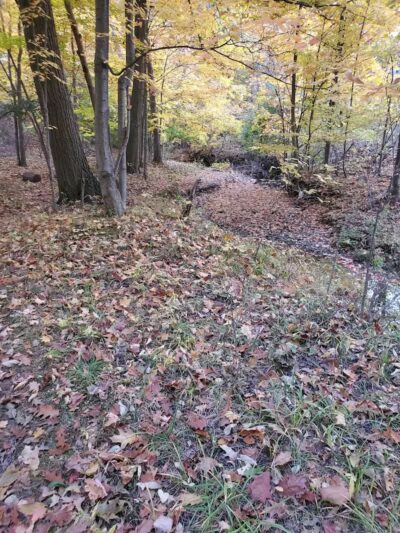 Nehls Park - Wickliffe, OH