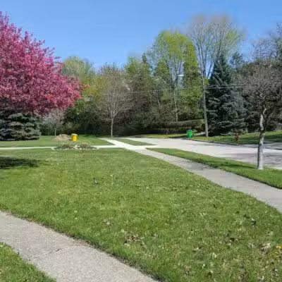 Orlando Park - Wickliffe, OH