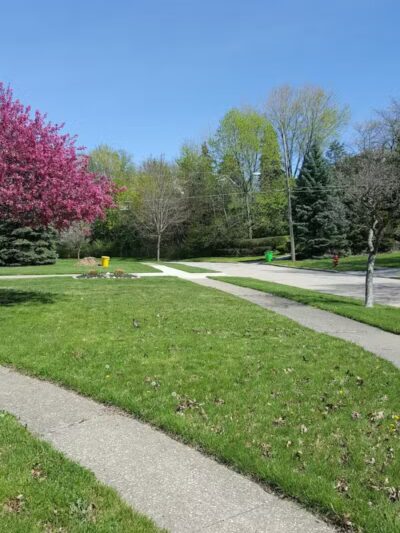 Orlando Park - Wickliffe, OH