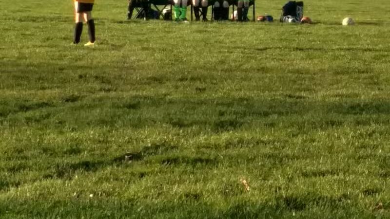 Orlando Park - Wickliffe, OH