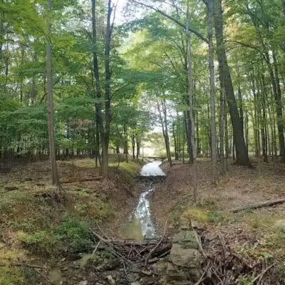 Pete's Pond Preserve - Wickliffe, OH