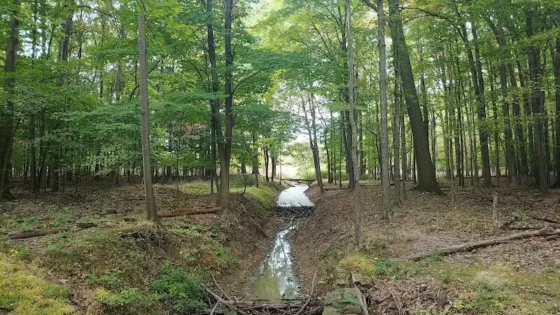 Pete's Pond Preserve - Wickliffe, OH