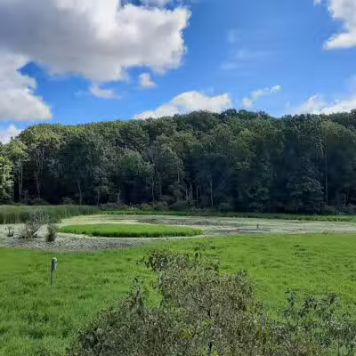 Pete's Pond Preserve - Wickliffe, OH
