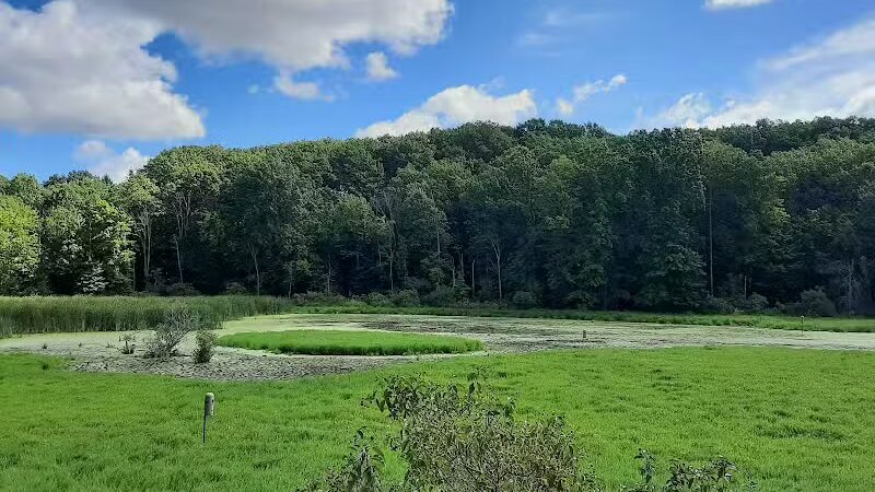 Pete's Pond Preserve - Wickliffe, OH