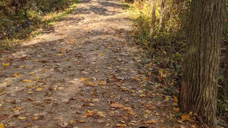 Pete's Pond Preserve - Wickliffe, OH