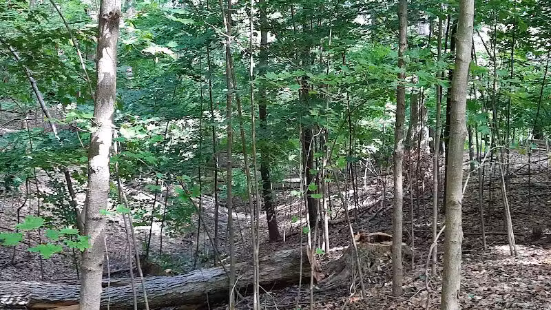 Pete's Pond Preserve - Wickliffe, OH