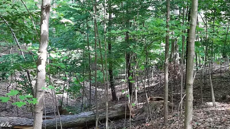 Pete's Pond Preserve - Wickliffe, OH