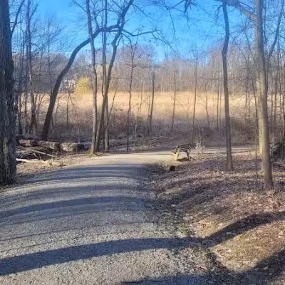 Pete's Pond Preserve - Wickliffe, OH