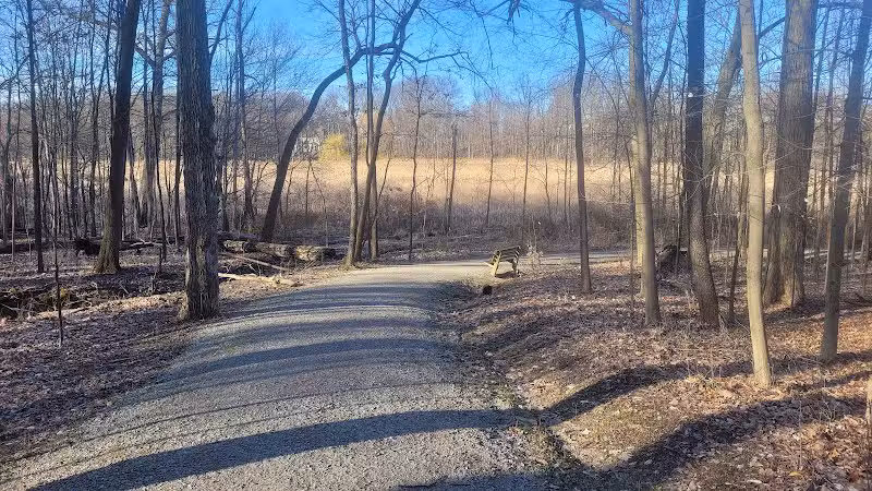Pete's Pond Preserve - Wickliffe, OH