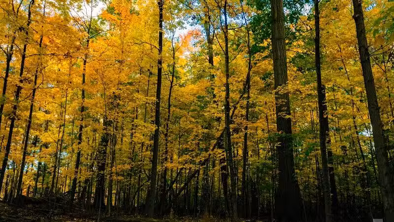 Pete's Pond Preserve - Wickliffe, OH