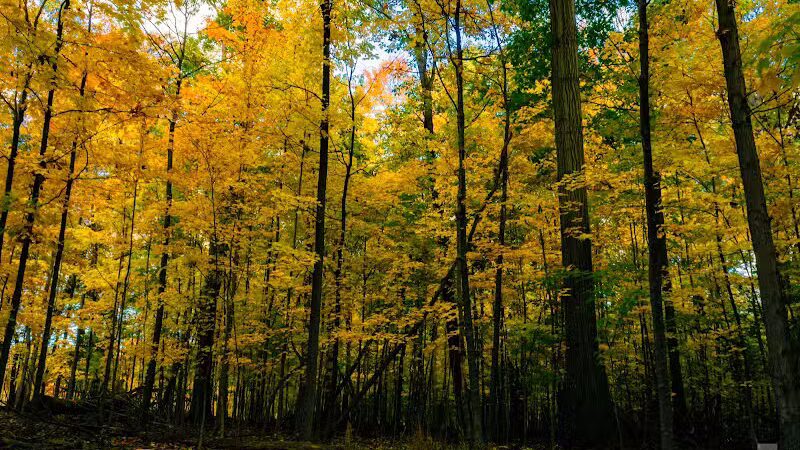 Pete's Pond Preserve - Wickliffe, OH