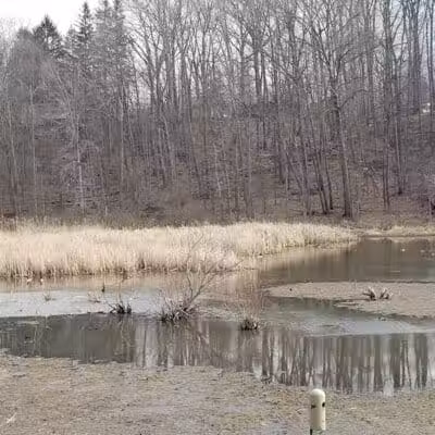 Pete's Pond Preserve - Wickliffe, OH