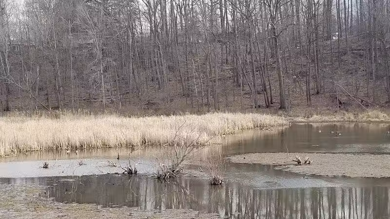 Pete's Pond Preserve - Wickliffe, OH
