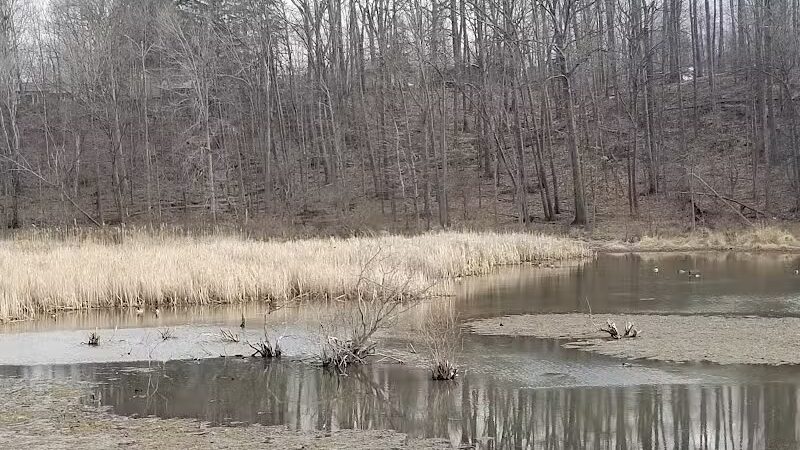 Pete's Pond Preserve - Wickliffe, OH