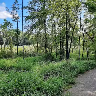 Pete's Pond Preserve - Wickliffe, OH