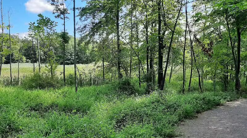 Pete's Pond Preserve - Wickliffe, OH