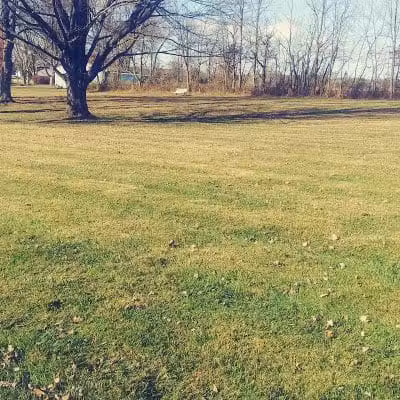 Marathon Park - Williamsburg, OH