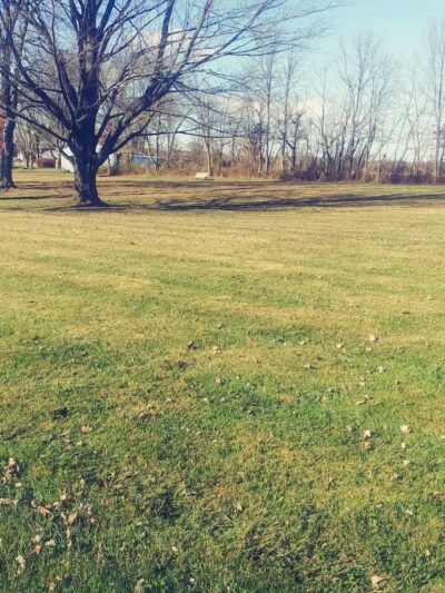 Marathon Park - Williamsburg, OH