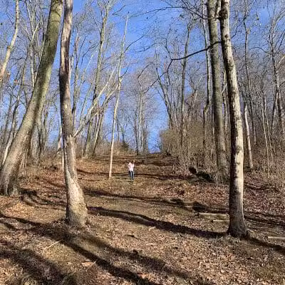 Williamsburg Community Park - Williamsburg, OH