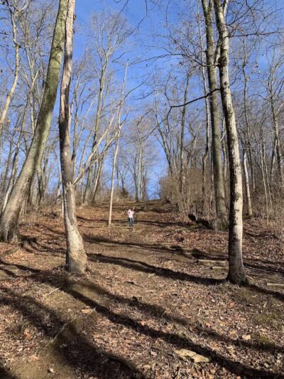 Williamsburg Community Park - Williamsburg, OH